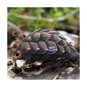 Pangolin – eugy 3d