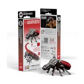 Coléoptère goliath – eugy 3d