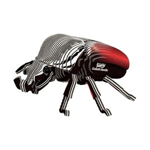 Coléoptère goliath – eugy 3d