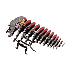 Coléoptère goliath – eugy 3d