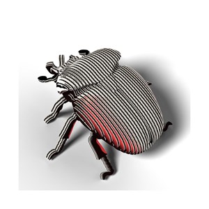 Coléoptère goliath – eugy 3d