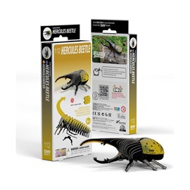 Coléoptère hercule – eugy 3d