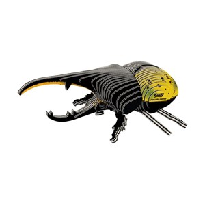 Coléoptère hercule – eugy 3d