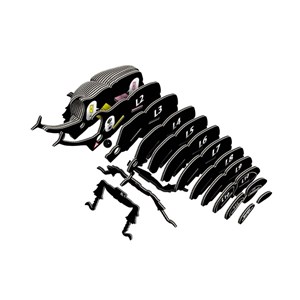 Scarabée rhinocéros – eugy 3d