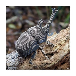 Scarabée rhinocéros – eugy 3d