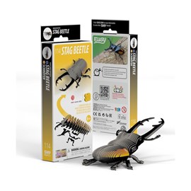 Coléoptère lucanidae – eugy 3d