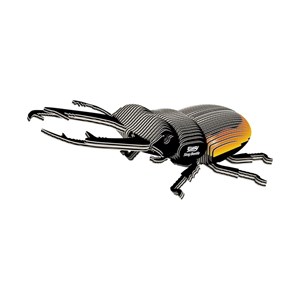 Coléoptère lucanidae – eugy 3d