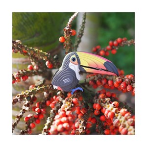 Toucan – eugy 3d