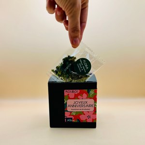 Infusion 20 sachets bio