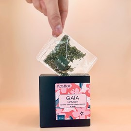 Infusion gaïa 20 sachets bio