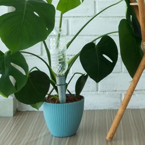 Lot de 12 cônes d'arrosage - kit