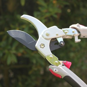 Secateur fishtec à crémaillère