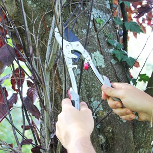 Secateur fishtec à crémaillère