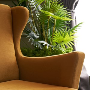 Williams fauteuil à oreilles en velours moutarde