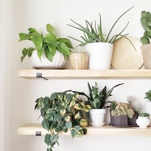 Bussa étagère murale en bois d'épicéa et métal - 2 rangements - bois et noir