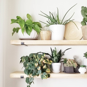 Bussa étagère murale en bois d'épicéa et métal - 2 rangements - bois et noir