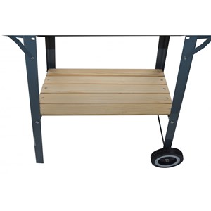 Buffalo barbecue mobile au charbon de bois 48 x 28 cm