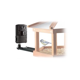 Caméra pour oiseaux/petits animaux sfc