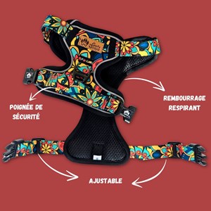 Harnais pour chien confort mandala - m