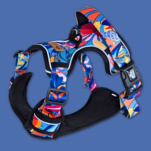 Harnais pour chien confort lagon - l