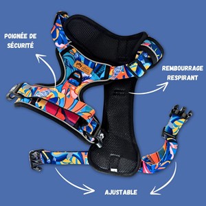 Harnais  chien confort lagon - xl