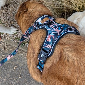 Harnais pour chien confort savane - s