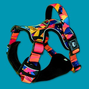 Harnais pour chien confort panache - s