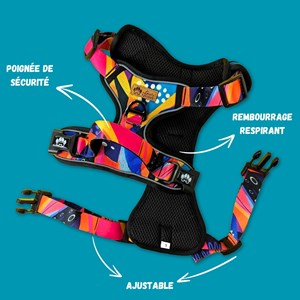 Harnais pour chien confort panache - s