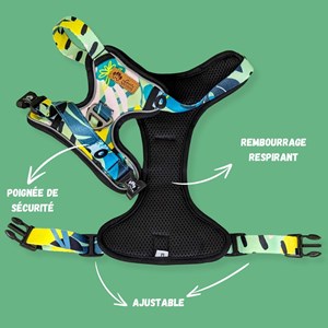 Harnais pour chien confort récif - m