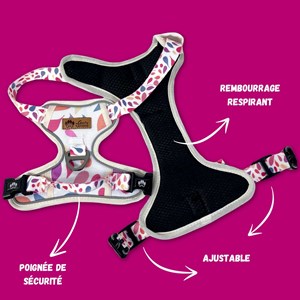Harnais pour chien confort pétales - s
