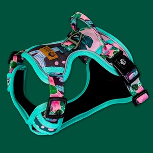 Harnais pour chien confort  cactus - m