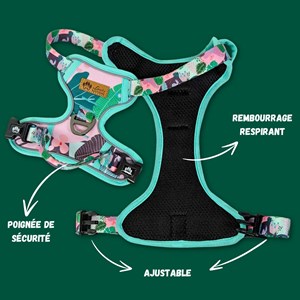 Harnais pour chien confort cactus - xl