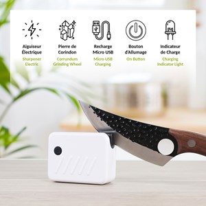 Aiguiseur électrique fishtec