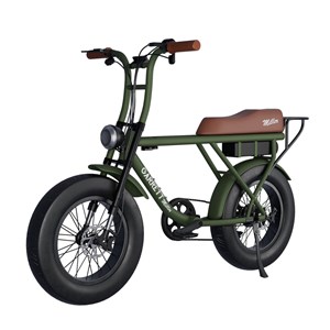 Vélo électrique biplace cargo garrett miller x vert, batt simple, pneus route