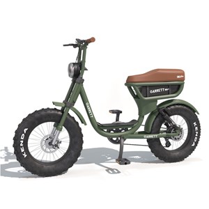 Vélo électrique biplace cargo garrett miller city vert, bat simple, tout terrain