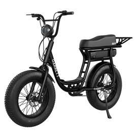 Vélo électrique biplace cargo garrett miller urban