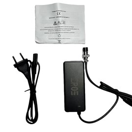 Chargeur standard batterie 12v potence trottinette électrique dualtron