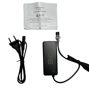 Chargeur standard batterie 12v potence trottinette électrique dualtron