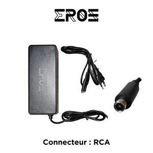 Chargeur rapide  de trottinette électrique pour batterie 48v, connecteur rca