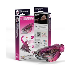 Poisson-dragon – eugy 3d