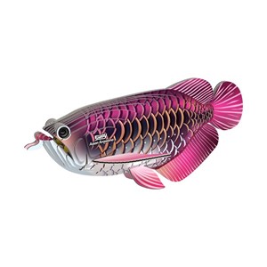 Poisson-dragon – eugy 3d