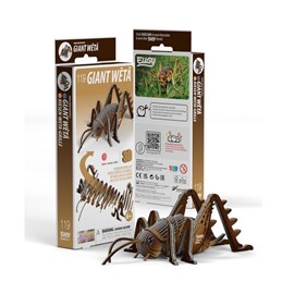 Sauterelle – eugy 3d