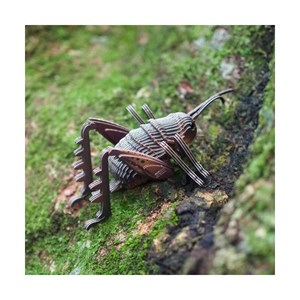 Sauterelle – eugy 3d