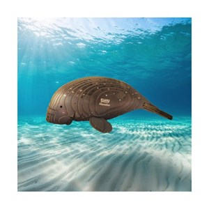 Lamantin – eugy 3d