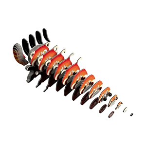 Panda roux – eugy 3d