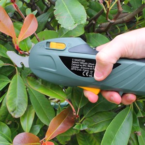 Secateur electrique fishtec sans fil -