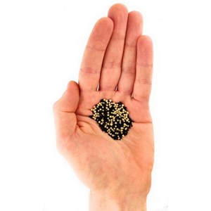 Filtres pour compresseur minidive