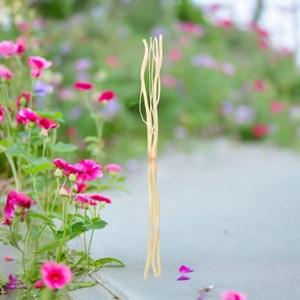 Lot de 3 tiges rotin avec branches 30cm