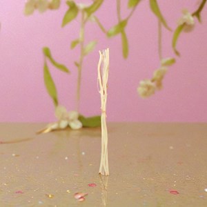 Lot de 3 tiges rotin avec branches 30cm