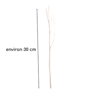 Lot de 3 tiges rotin avec branches 30cm